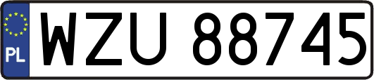 WZU88745