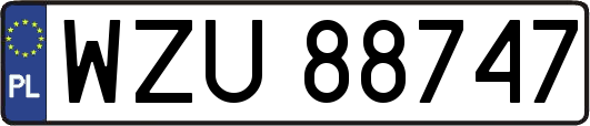 WZU88747