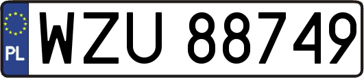 WZU88749
