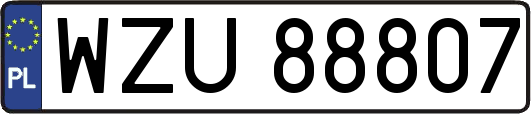 WZU88807