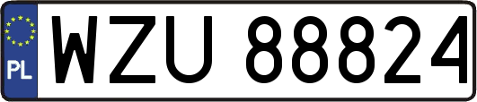 WZU88824