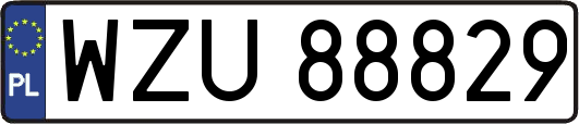 WZU88829