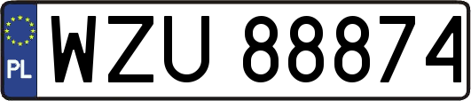 WZU88874