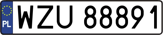 WZU88891