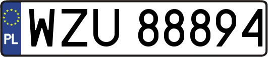 WZU88894