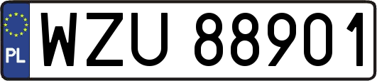 WZU88901
