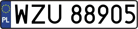 WZU88905