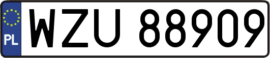 WZU88909