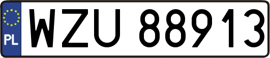 WZU88913