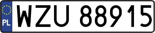 WZU88915