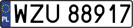 WZU88917