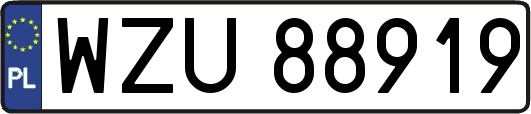WZU88919