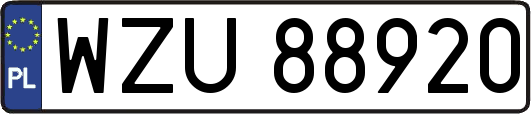 WZU88920