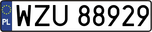 WZU88929