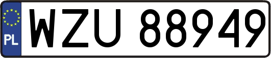 WZU88949