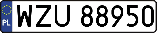 WZU88950