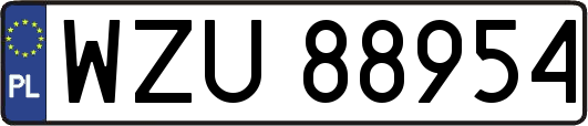 WZU88954