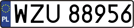 WZU88956