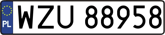 WZU88958