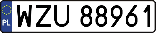 WZU88961