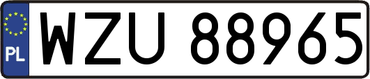 WZU88965