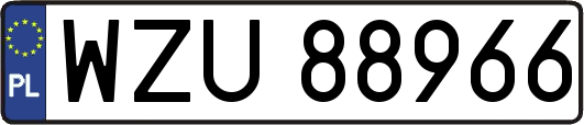 WZU88966