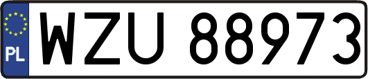 WZU88973