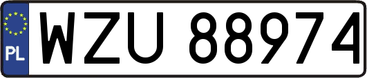 WZU88974