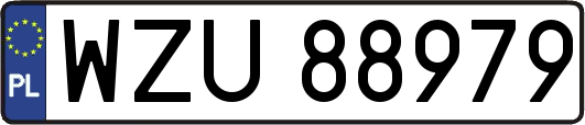 WZU88979