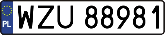 WZU88981
