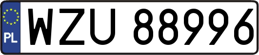 WZU88996