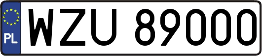 WZU89000