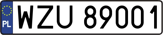 WZU89001