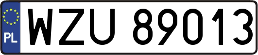 WZU89013