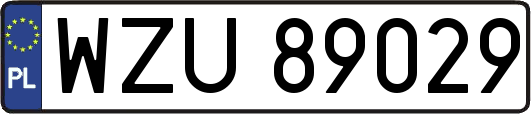 WZU89029