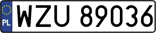 WZU89036