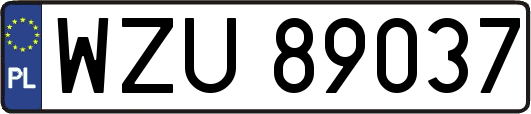WZU89037