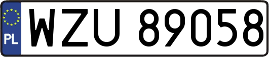 WZU89058