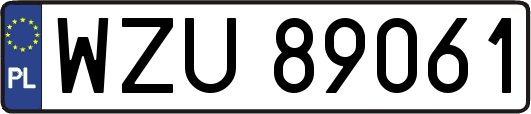 WZU89061