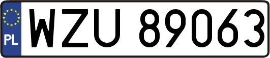 WZU89063