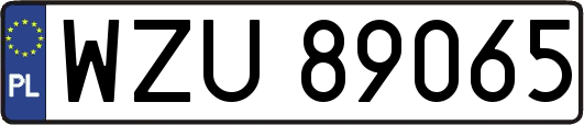 WZU89065