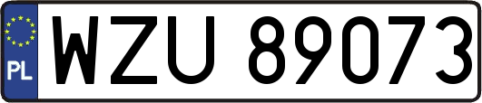 WZU89073