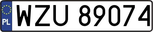 WZU89074
