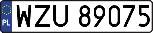WZU89075