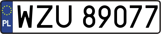 WZU89077