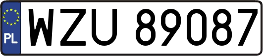 WZU89087