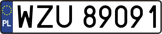 WZU89091