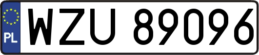 WZU89096