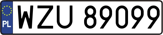 WZU89099