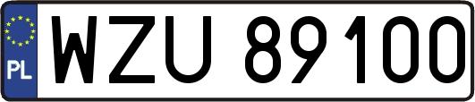 WZU89100